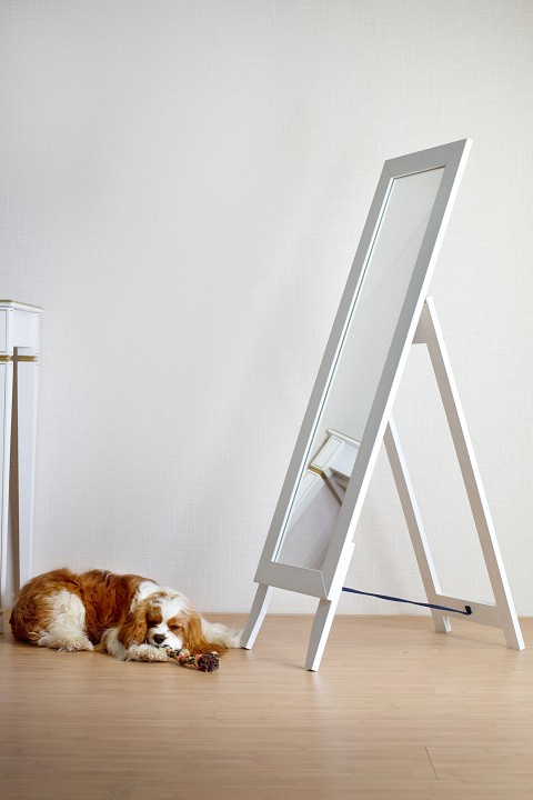 Зеркало напольное BeautyStyle 1